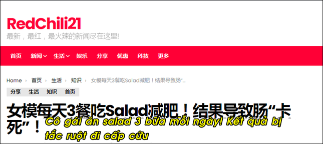 Cô gái phải nhập viện cấp cứu vì chỉ ăn salad liên tục trong nhiều ngày liền ảnh 1