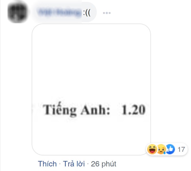 Hội teen 2K2 đua nhau khoe bảng điểm thi tốt nghiệp THPT: Có tất cả nhưng “thiếu Anh“! ảnh 5