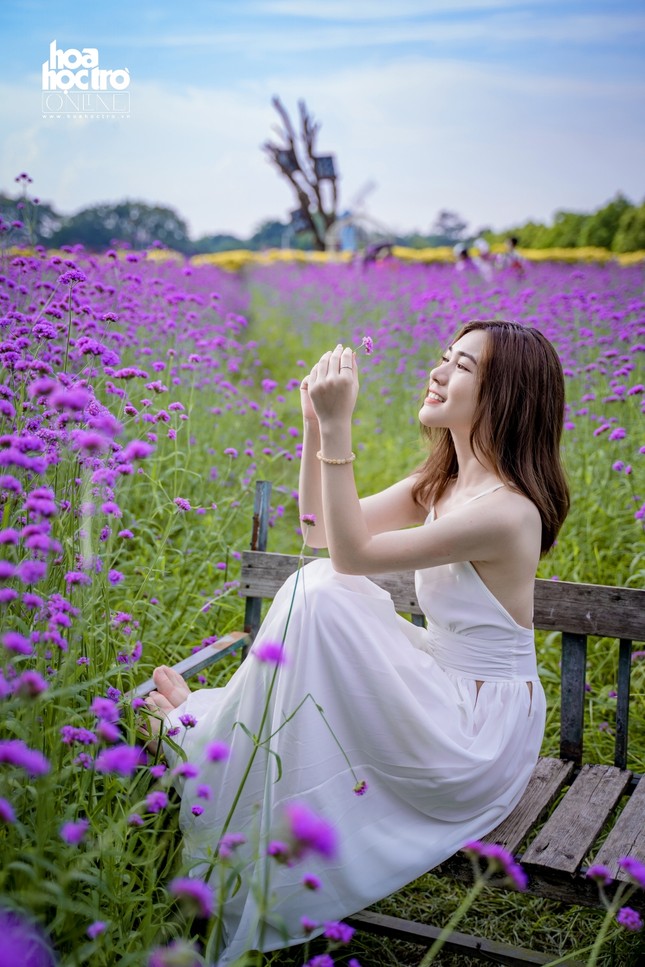 Giới trẻ Hà Nội rủ nhau check-in ở cánh đồng hoa oải hương rộng hàng chục nghìn mét vuông ảnh 3