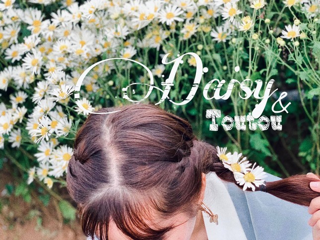 Một mùa cúc hoạ mi xinh xắn lại đến: “Lên đồ” cùng hội BFF để có những tấm ảnh “nghìn like” nào! ảnh 4