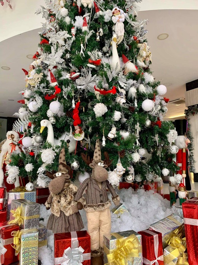 Hà Nội: Đại học Thăng Long có cây thông “siêu to khổng lồ” để sinh viên check-in mùa Noel ảnh 7