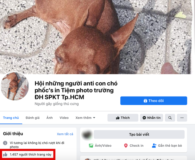 Chuyện thật như đùa: Đến đàn gà, con chó cũng bị lập trang anti trên mạng xã hội ảnh 1