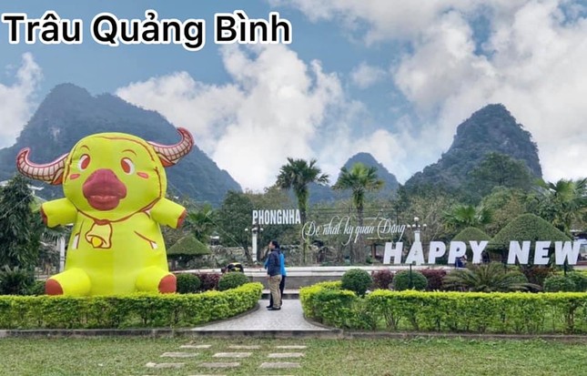 Cười thả ga trước loạt ảnh linh vật Tết Tân Sửu: Mũm mĩm, sang chảnh, cháy nắng... muốn gì cũng có! ảnh 3
