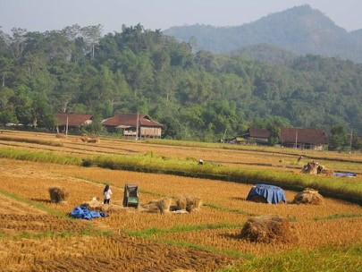 Thi sĩ miệt mài viết thơ tặng vợ và người tình ảnh 4