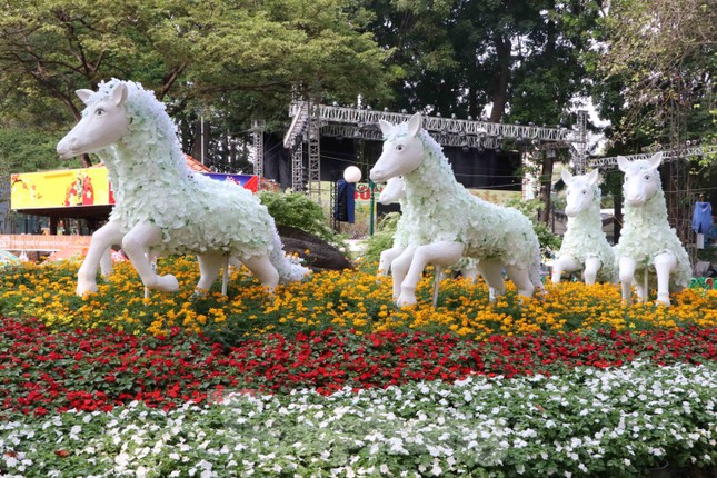 Dân Sài Gòn kéo nhau vào hội hoa xuân chụp hình 'tự sướng' ngày cận tết ảnh 3
