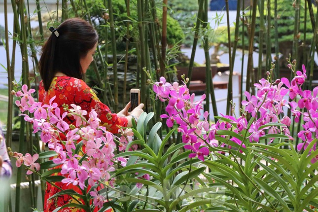 Dân Sài Gòn kéo nhau vào hội hoa xuân chụp hình 'tự sướng' ngày cận tết ảnh 7