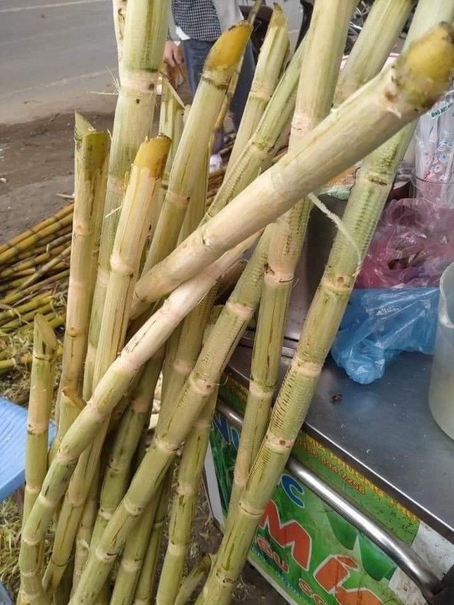 Nắng nóng, nước giải khát cháy hàng ảnh 1