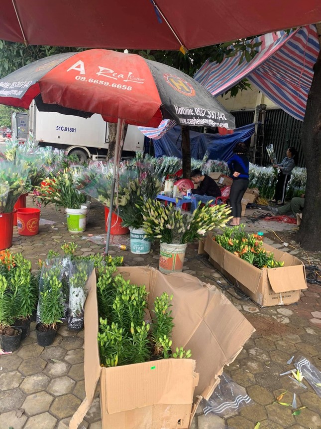 Hoa ly rớt giá thê thảm, cộng đồng mạng kêu gọi 'giải cứu' ảnh 1