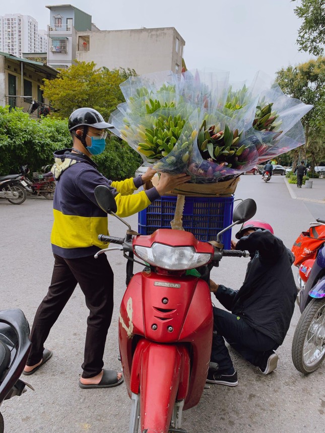 Hoa ly rớt giá thê thảm, cộng đồng mạng kêu gọi 'giải cứu' ảnh 6