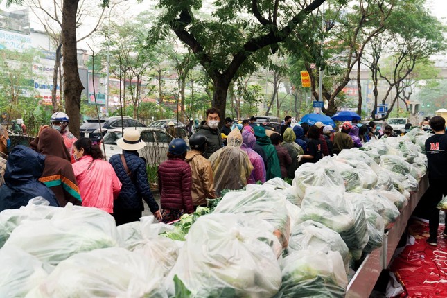 Người Hà Nội đội mưa 'giải cứu' hàng chục tấn nông sản ảnh 1