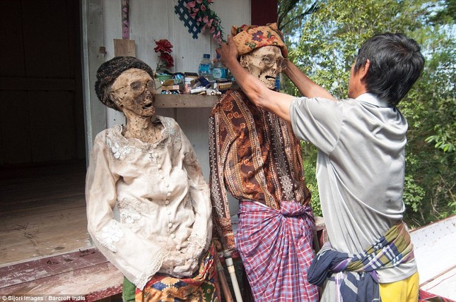 Rùng mình với mộ cây hài nhi ở rừng già Indonesia ảnh 6