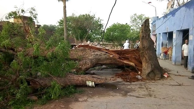 Bão bụi kinh hoàng ở Ấn Độ, 220 người thương vong ảnh 1