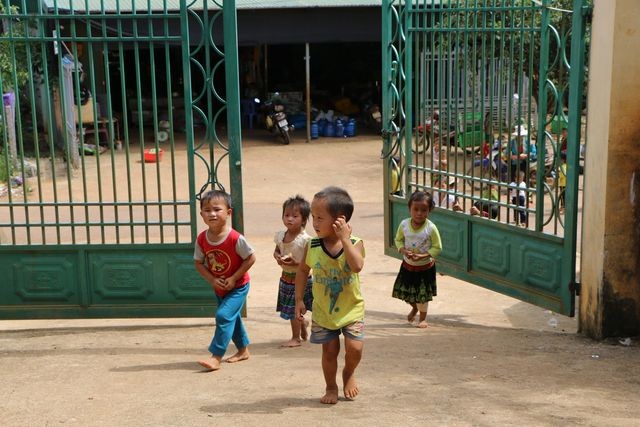 Đắk Nông: Sợ trò thất học, 8 cô giáo trẻ tình nguyện đứng lớp không lương ảnh 1