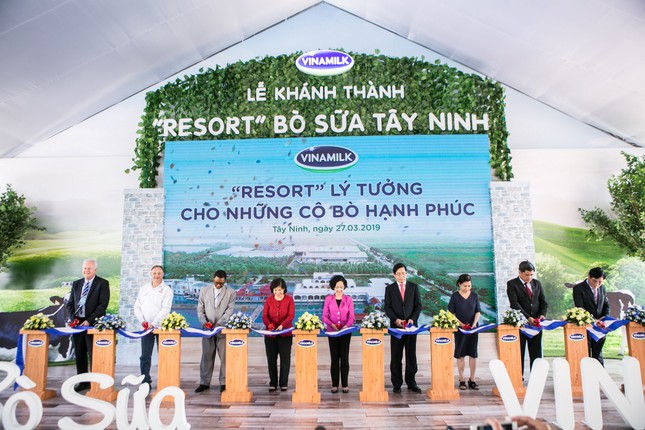 Hệ thống trang trại Vinamilk tăng trưởng về quy mô lẫn hiệu quả hoạt động ảnh 1