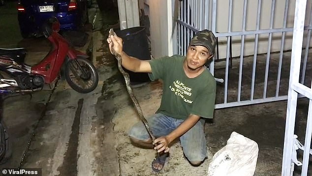 Dán mắt vào điện thoại khi đi vệ sinh, nam thanh niên bị rắn ngoạm ‘cậu nhỏ’ ảnh 2