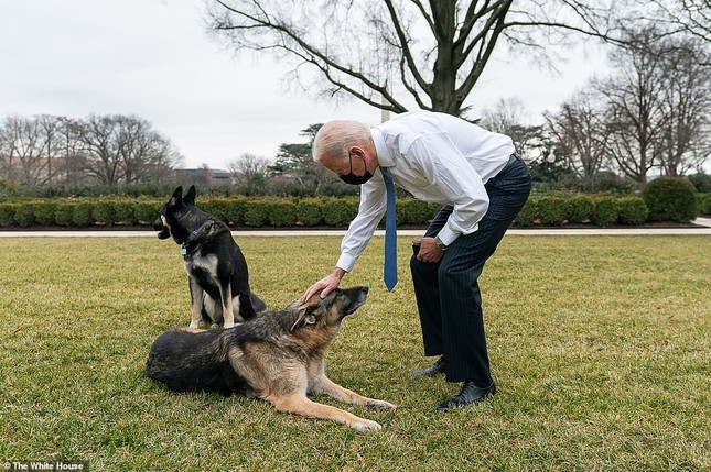 Loạt ảnh hiểm về cuộc sống trong Nhà Trắng của Tổng thống Joe Biden ảnh 2