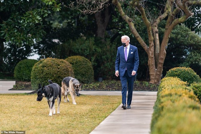 Loạt ảnh hiểm về cuộc sống trong Nhà Trắng của Tổng thống Joe Biden ảnh 1