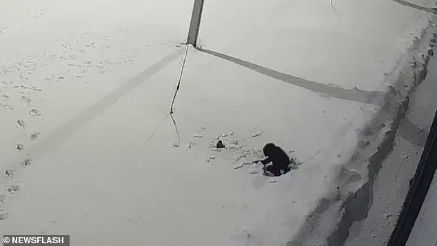 Bé trai năm tuổi ngã từ tầng 12 rồi lồm cồm bò dậy ảnh 2