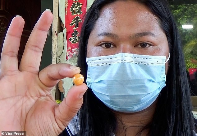 Người phụ nữ ‘không xu dính túi’ tìm thấy ngọc trai vàng cực quý hiếm ảnh 2
