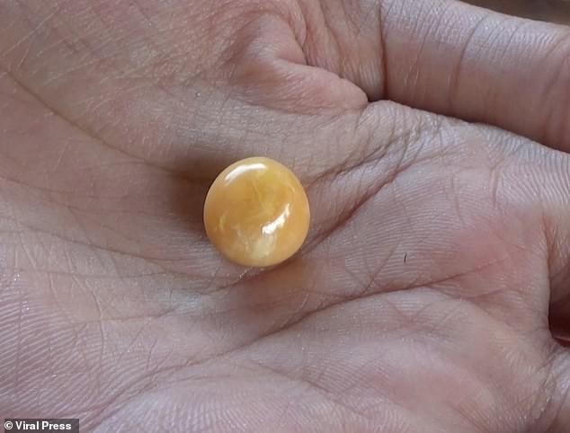 Người phụ nữ ‘không xu dính túi’ tìm thấy ngọc trai vàng cực quý hiếm ảnh 3