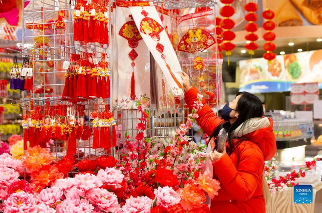 Châu Á trang hoàng rực rỡ, người dân nô nức mua sắm chuẩn bị đón năm Dần ảnh 31