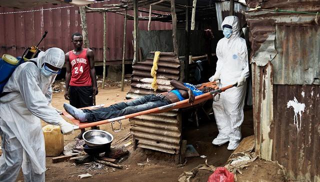 Mỹ: COVID-19 đang ' rất nóng', lại phát hiện thêm virus cực độc ảnh 3