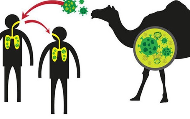 Mỹ: COVID-19 đang ' rất nóng', lại phát hiện thêm virus cực độc ảnh 4