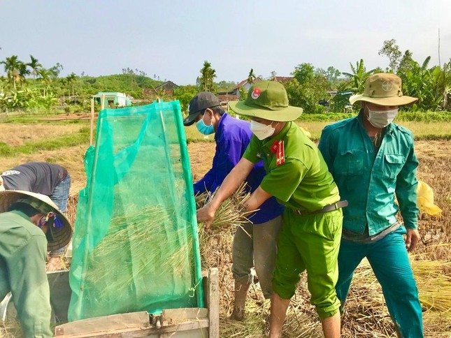 Đội nắng giúp người dân gặt lúa sau thiên tai dị thường ảnh 3