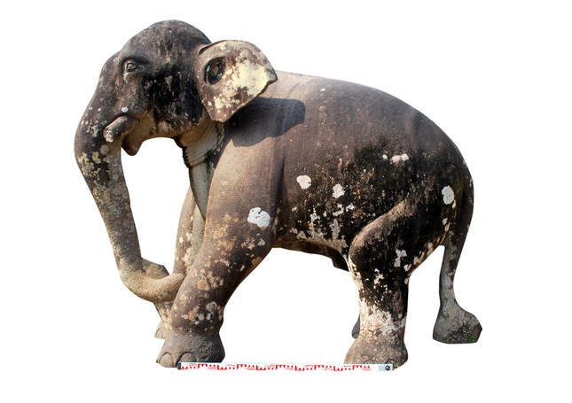Tượng voi đá Thành Đồ Bàn được đề nghị công nhận bảo vật quốc gia ảnh 2