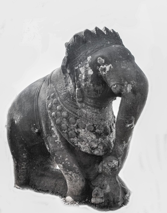 Tượng voi đá Thành Đồ Bàn được đề nghị công nhận bảo vật quốc gia ảnh 1
