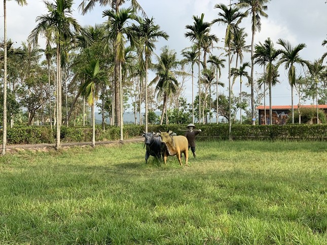 Dâng hương tưởng niệm 53 năm ngày đồng bào Sơn Mỹ bị thảm sát ảnh 6