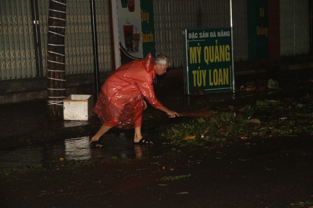 Sau bão số 5, cây cối đổ ngổn ngang, bãi biển Quy Nhơn ngập ngụa rác ảnh 1