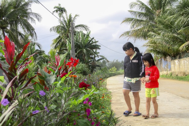 Thảm hoa trên những con đường quê ảnh 6