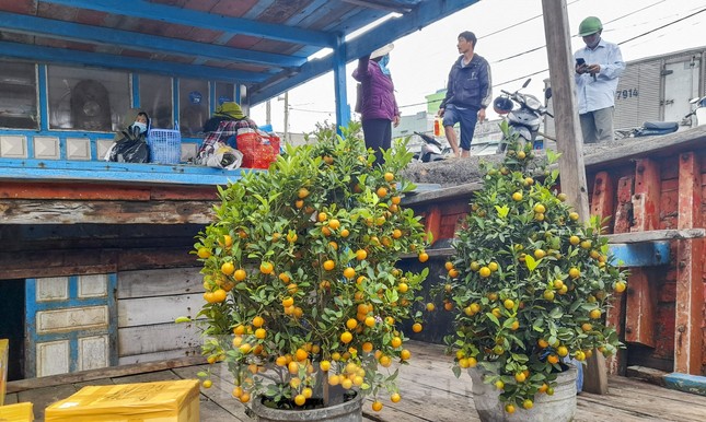 'Mang Tết' ra đảo Cù Lao Xanh ảnh 9