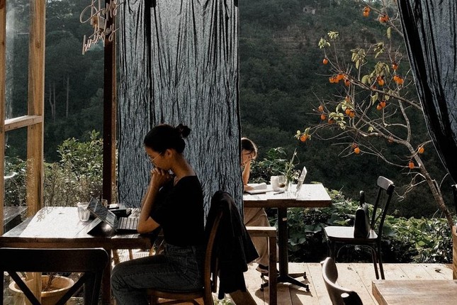 Mùa hồng chín “chill” hết nấc với cà phê Đà Lạt: Vừa săn ảnh thơ mộng vừa mải mê hái quả ảnh 11