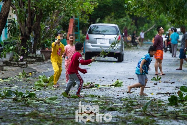Đà Nẵng sau cơn cuồng phong bão số 9: Mỗi người một tay dọn dẹp cảnh ngổn ngang ảnh 11