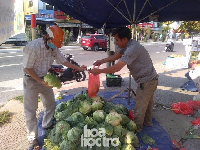 Hàng chục tấn nông sản Hải Dương được người dân Đà Nẵng chung tay “giải cứu“ ảnh 2