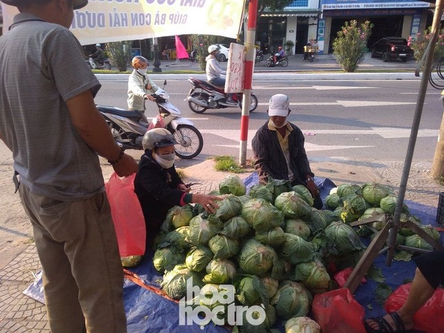 Hàng chục tấn nông sản Hải Dương được người dân Đà Nẵng chung tay “giải cứu“ ảnh 4