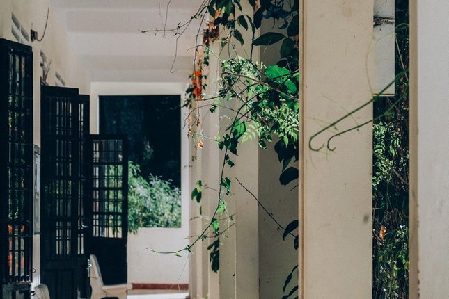 Cuộc thi viết Trà sữa cho tâm hồn: Ngày cậu đi, tớ chưa kịp nói rằng “Tớ thích cậu“ ảnh 2
