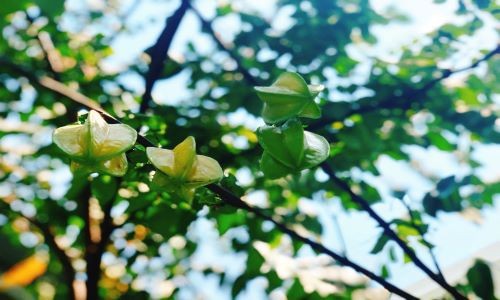 Cuộc thi viết Trà sữa cho tâm hồn: Mồ hôi sinh ra là để rơi, có việc làm đã là hạnh phúc ảnh 1