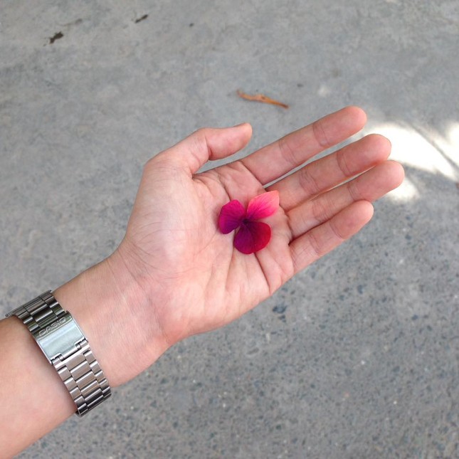 Cuộc thi viết Trà sữa cho tâm hồn: Tôi chưa bao giờ có đủ can đảm để nói thương bà ảnh 3