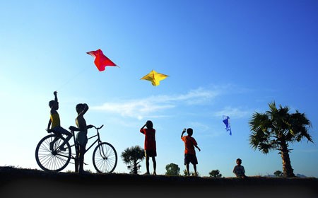 Cuộc thi viết Trà sữa cho tâm hồn: Cá heo thì bơi trên trời, chim điêu lại bay dưới đất ảnh 2
