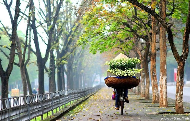 Cuộc thi viết Trà sữa cho tâm hồn: Tháng Tư ngóng chờ mùa hoa bách hợp nở ảnh 1