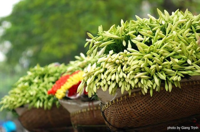 Cuộc thi viết Trà sữa cho tâm hồn: Tháng Tư ngóng chờ mùa hoa bách hợp nở ảnh 2