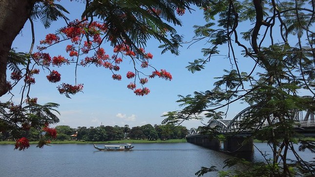 Cuộc thi viết Trà sữa cho tâm hồn: Tôi đã trót yêu Huế mất rồi ảnh 2