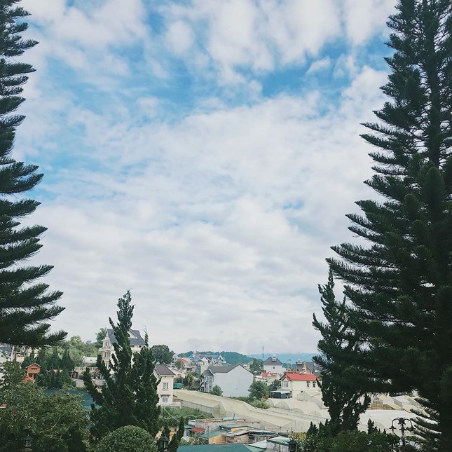 Du lịch trong nước vẫn “chất lừ”: Ăn ngon, ở đẹp tại thành phố mù sương Đà Lạt ảnh 16