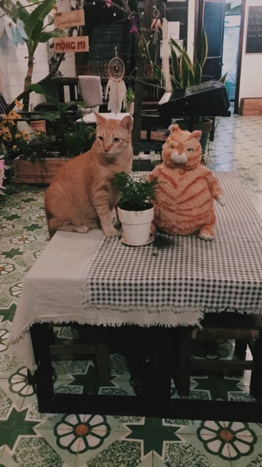 Gợi ý cho những vị khách cầu toàn 2 homestay sang xịn, giá "hạt dẻ" tại Sài Gòn ảnh 13