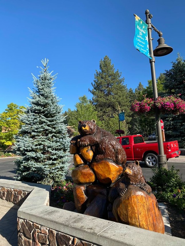 Big Bear Lake (hồ Gấu Bự) - thành phố trên núi được bao quanh bởi hàng thông xanh rì ảnh 3