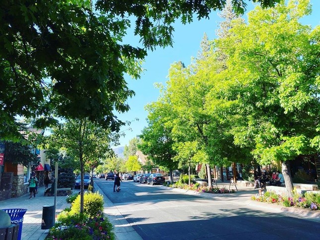 Big Bear Lake (hồ Gấu Bự) - thành phố trên núi được bao quanh bởi hàng thông xanh rì ảnh 8