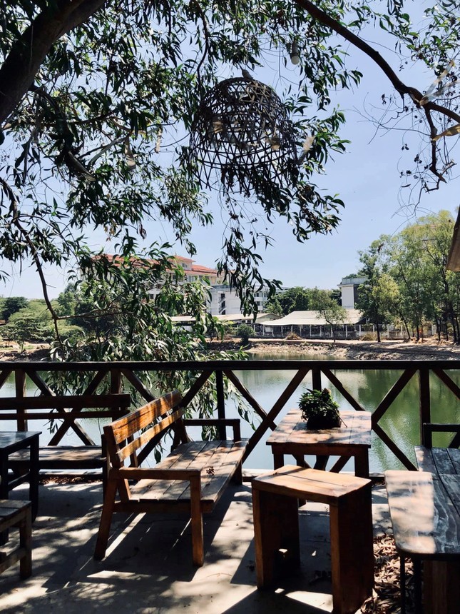 TP.HCM: Những tiệm cà phê vintage chất lừ dành cho hội mê thú cưng ảnh 8